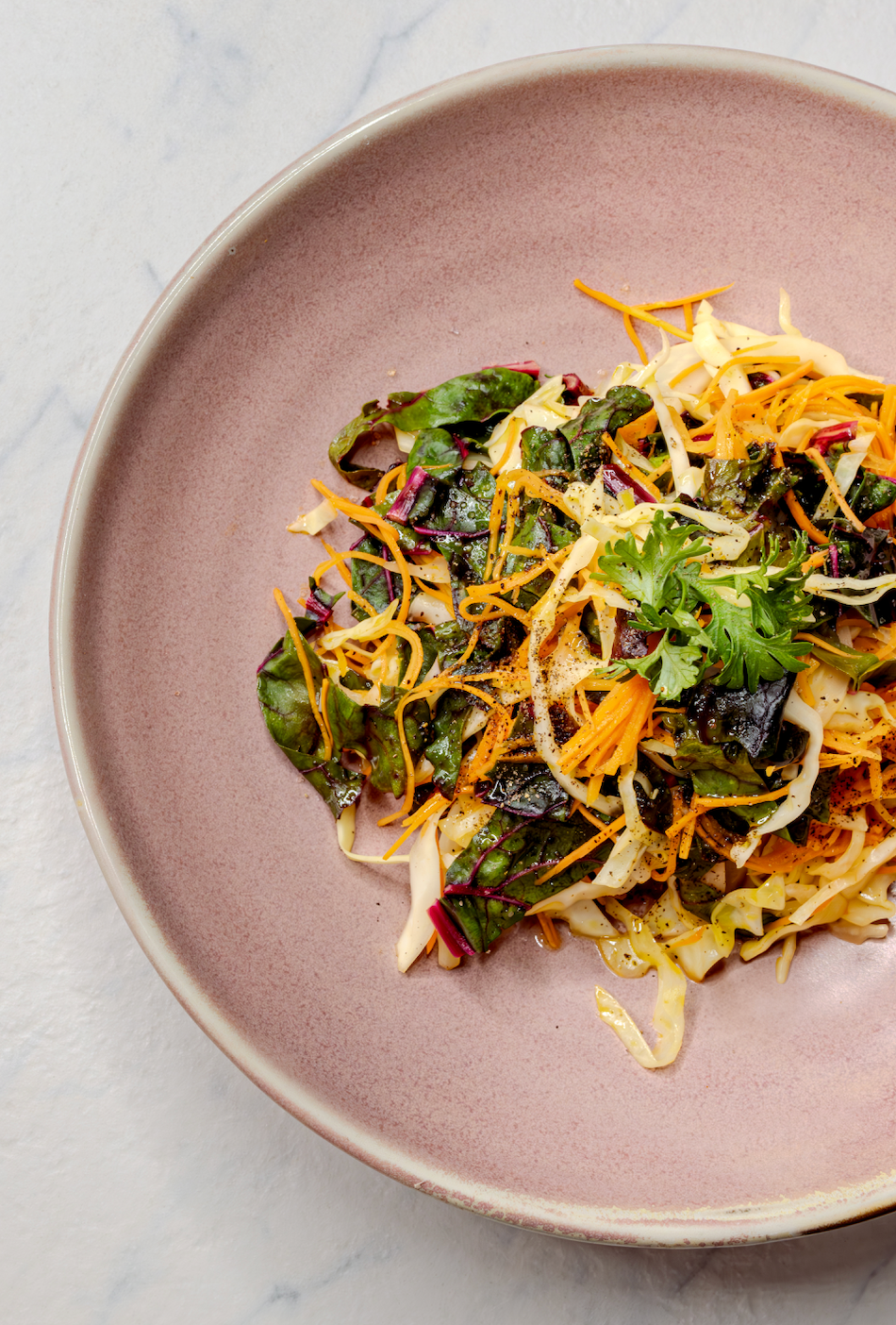 Holistica Wellness - Gut Healing Cookbook by Glow Beauty