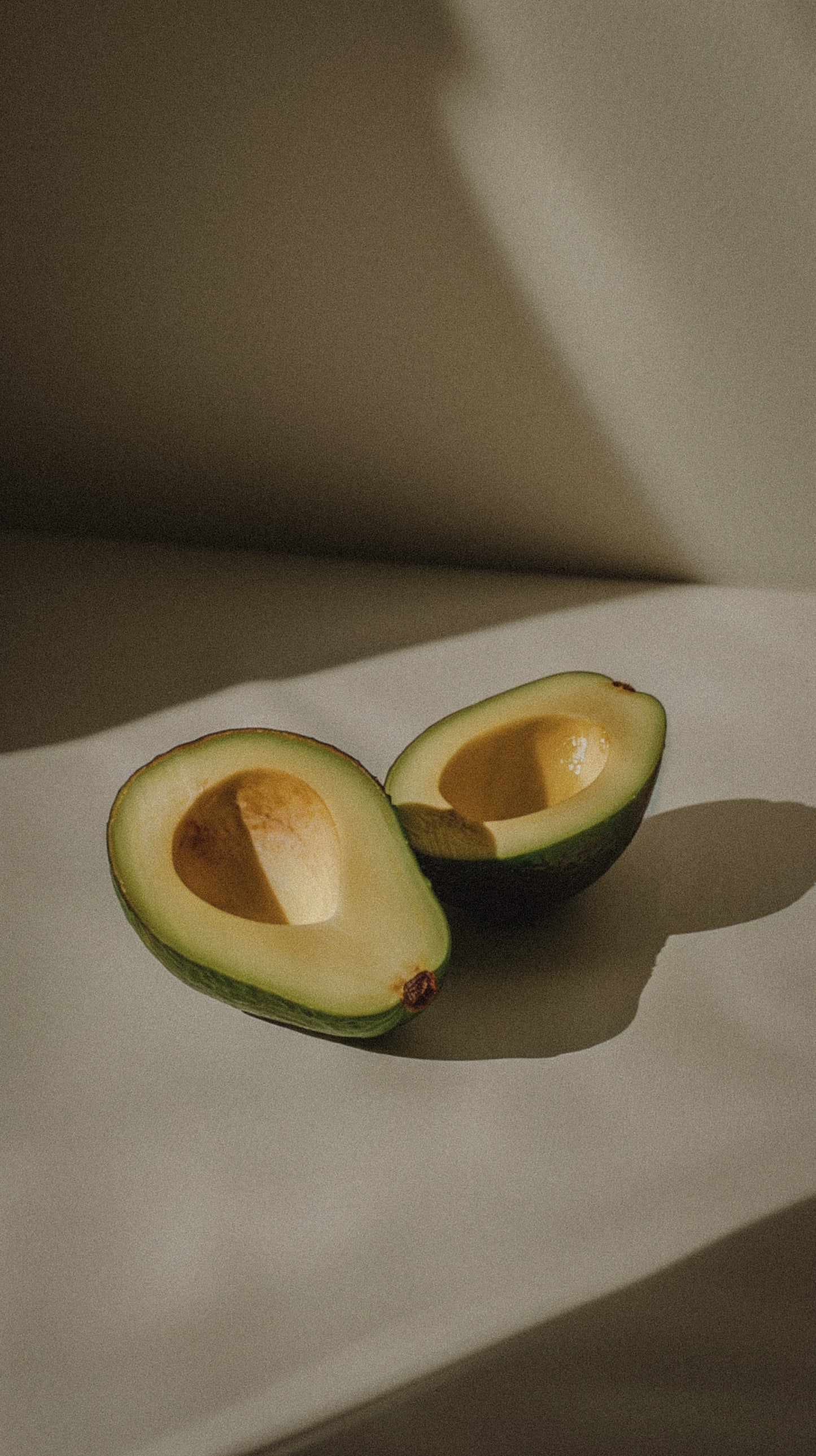 Holistica Wellness | Gut Healing Cookbook